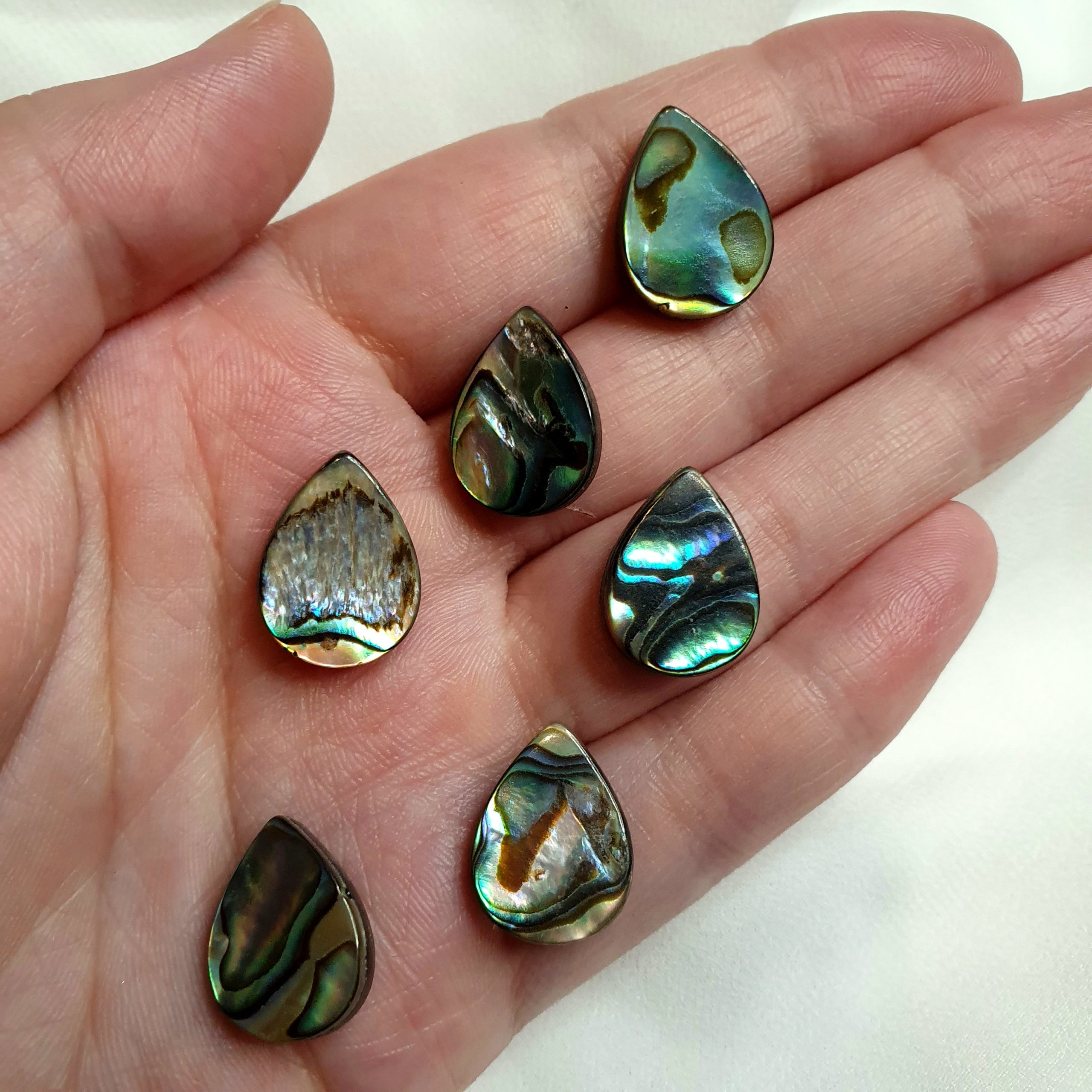 6 unique teardrop shaped abalone shell beads
