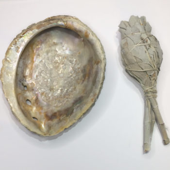 An abalone shell with a sage smudging stick to the right of it